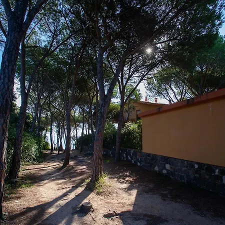 Apartament Erminia House - Blue Flat *