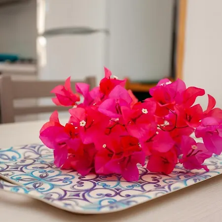 Erminia House - Blue Flat *